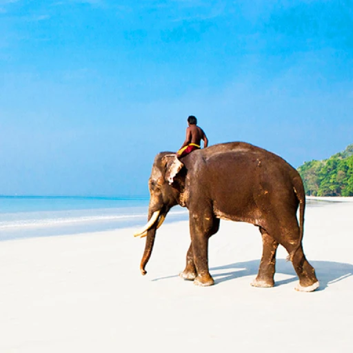 Elephant Beach Island Andaman Nicobar