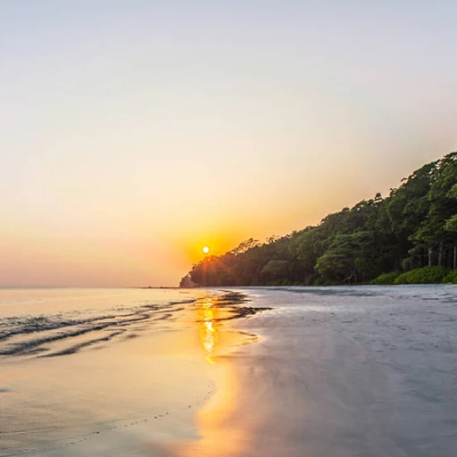 Radhanagar Beach Andaman Islands