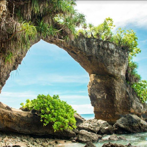 Neil Island Andaman Islands